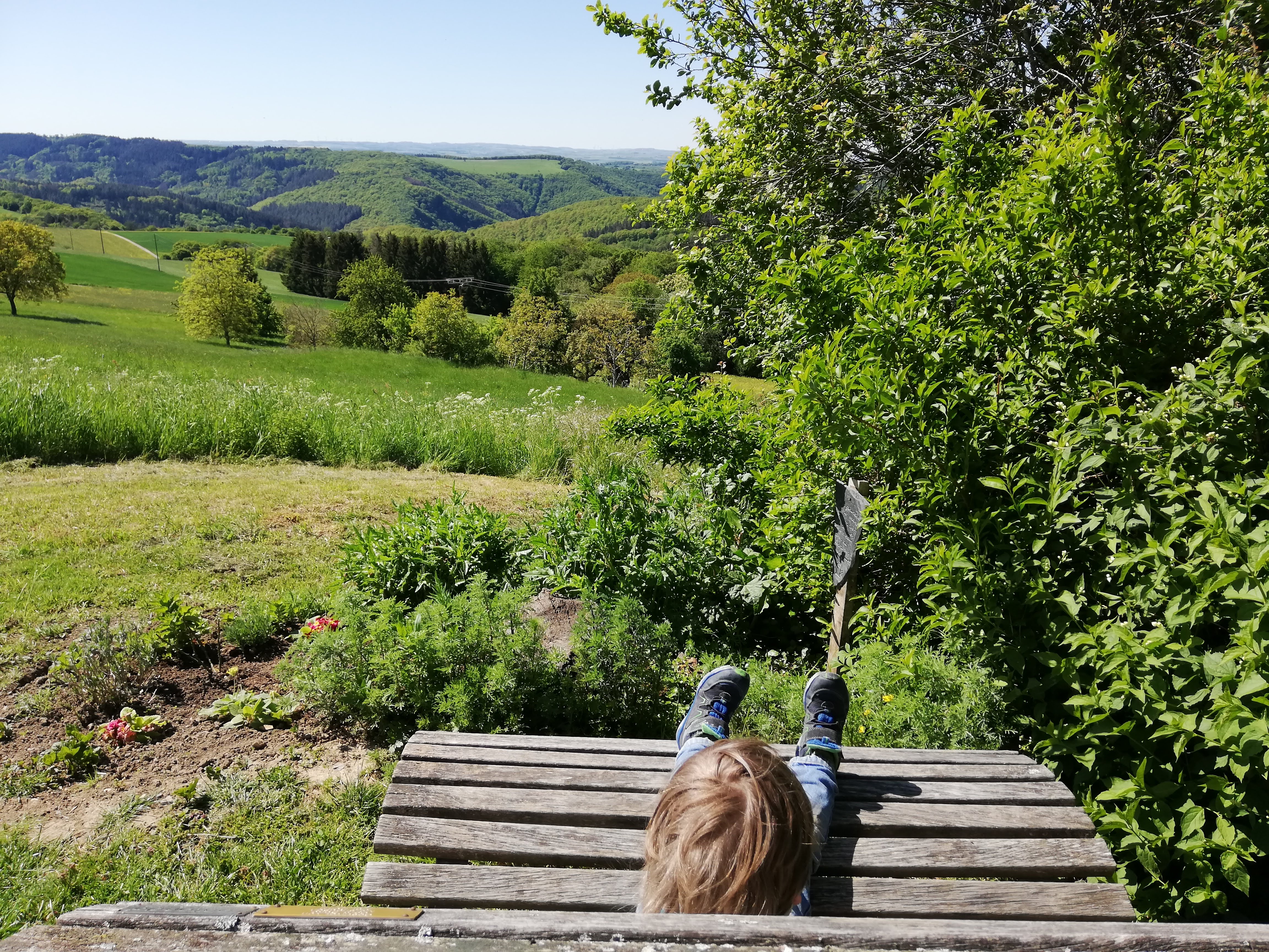 Traumschleifchen (Spazierwege) | Hunsrück-Touristik